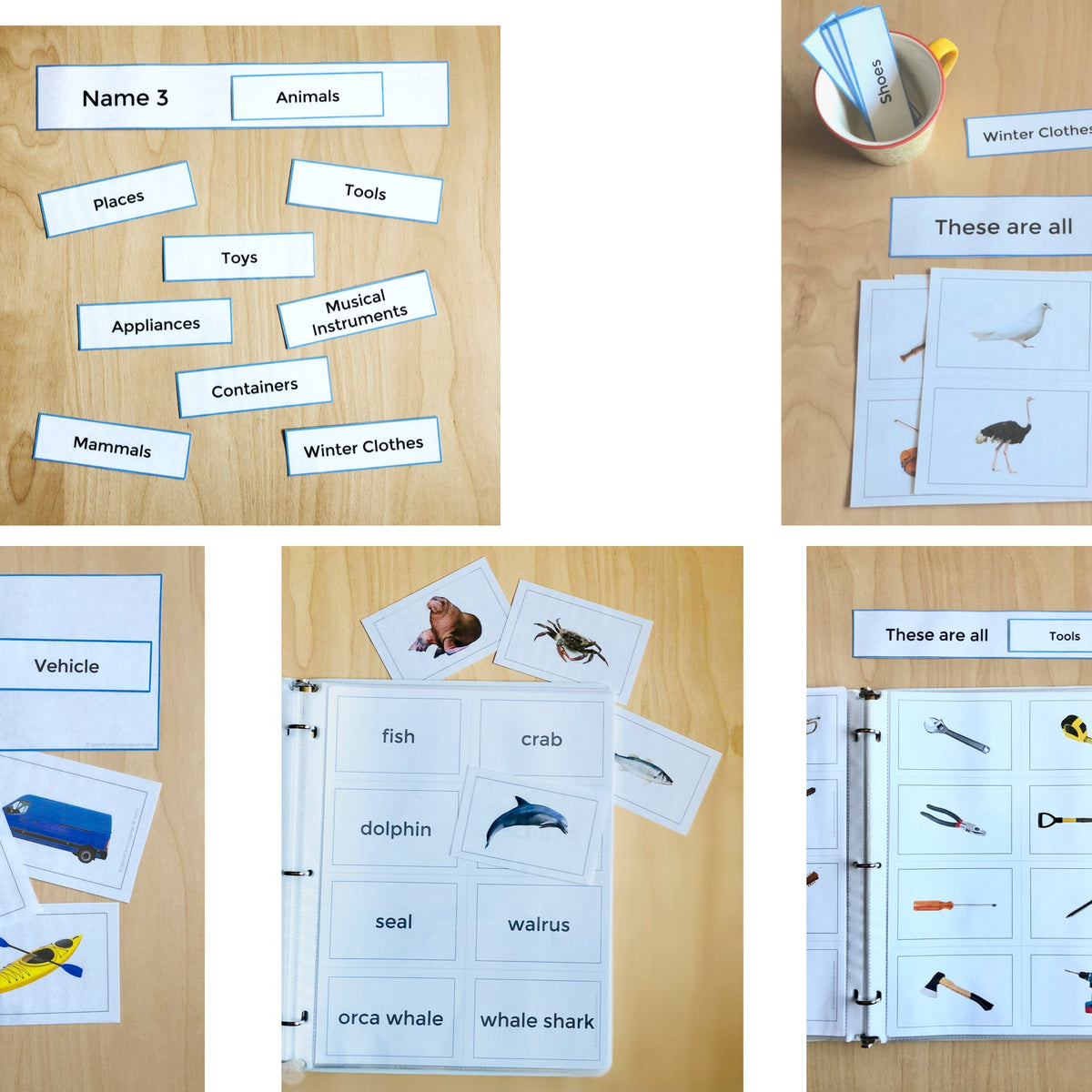 Photo Card Speech And Language Sets