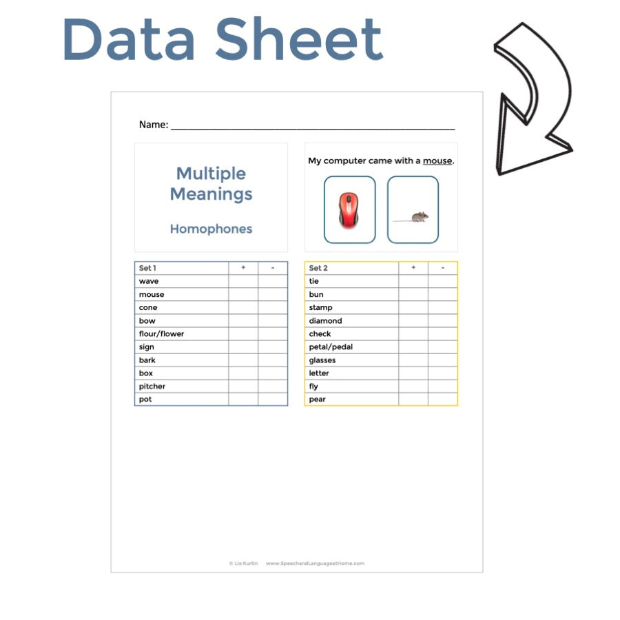 Multiple Meanings Task Cards