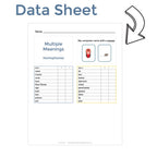 Multiple Meanings Task Cards