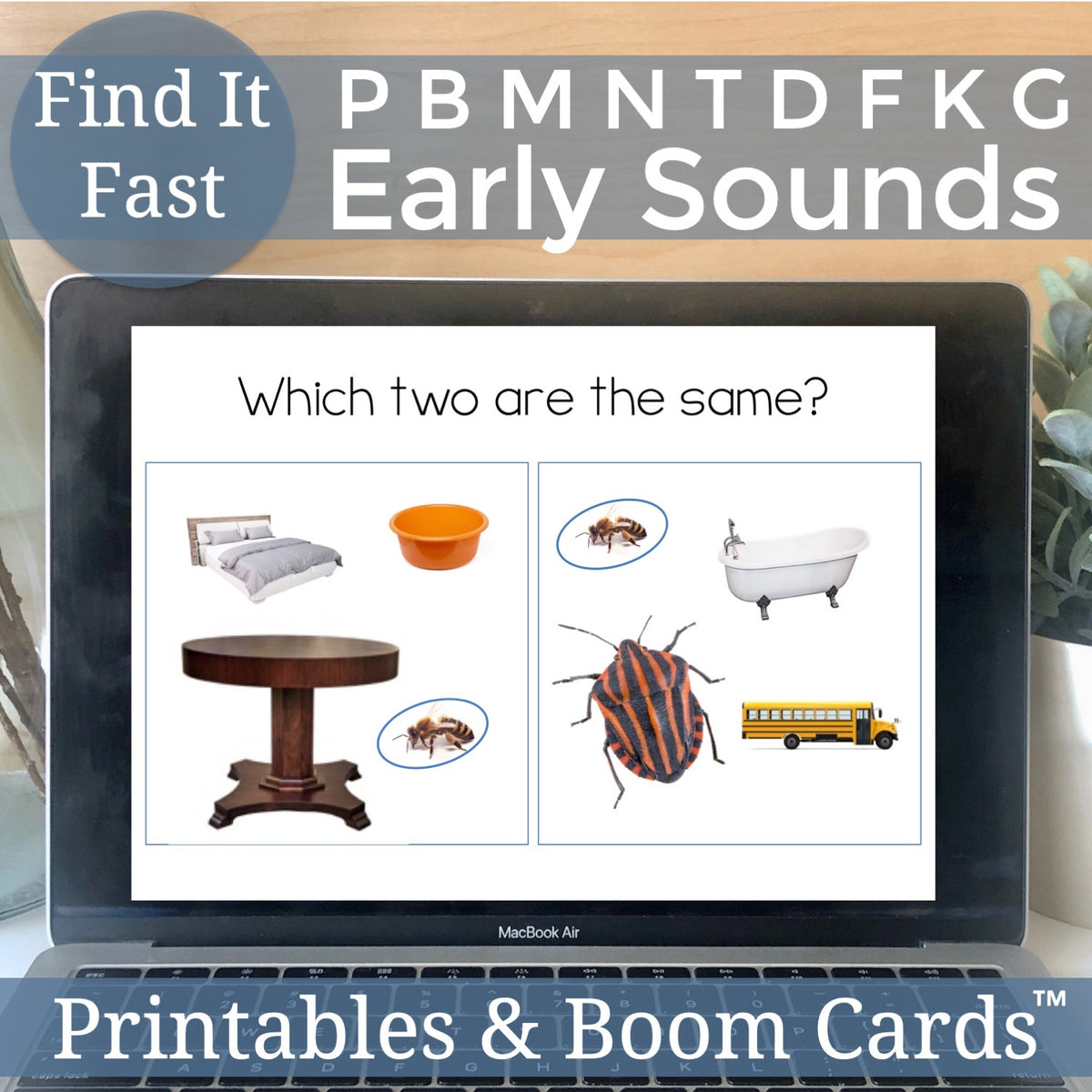 Find It Fast Articulation Early Sounds