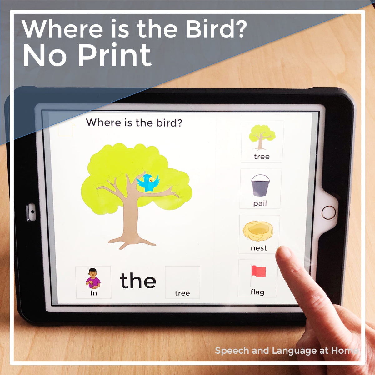 Where is the Bird? Digital